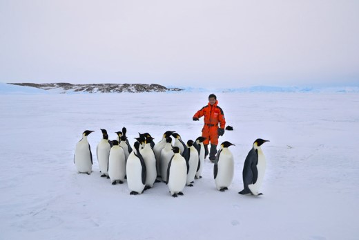 LiuGong Wei és pingvinek